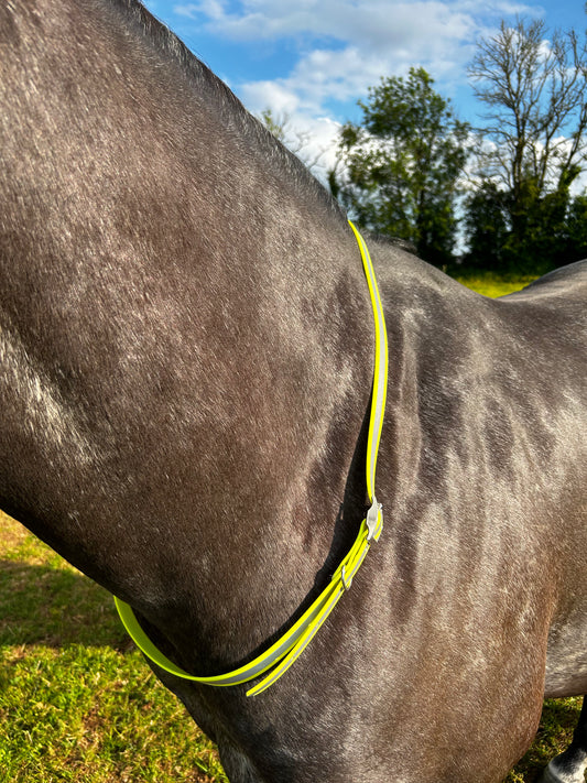 Biothane HIGH VIS Neck Strap