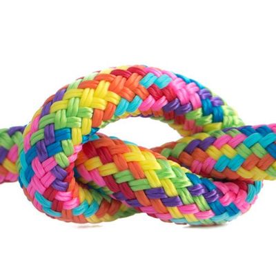 Clearance - Mini Range Soft Rope Halters