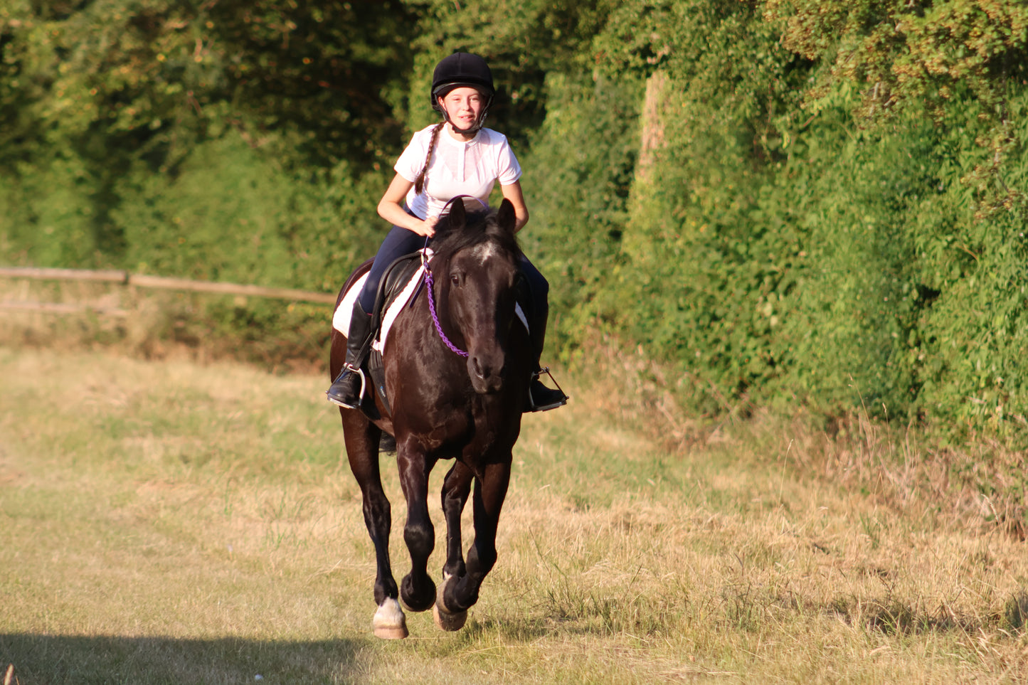 Thea Equestrian Affinity Neckrope