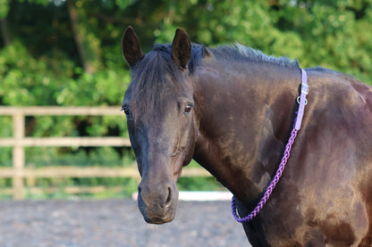 Thea Equestrian Affinity Neckrope