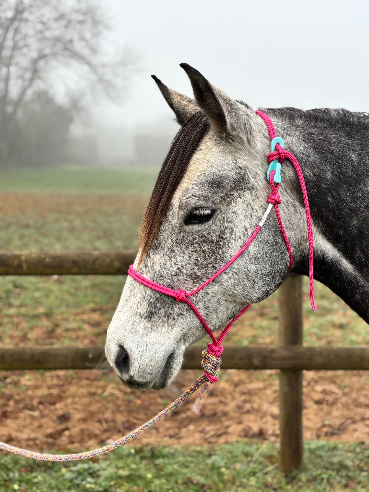 GKH Professional Stiff Rope Halter