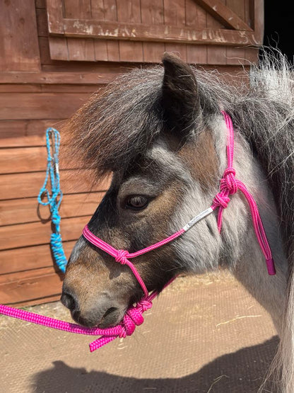 Clearance - Mini Range Soft Rope Halters