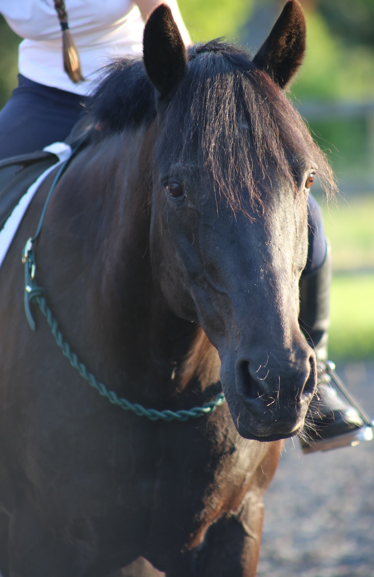 Thea Equestrian Affinity Neckrope