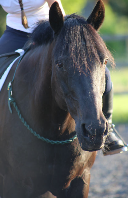 Thea Equestrian Affinity Neckrope