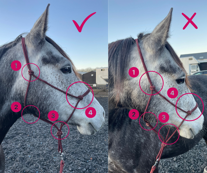 GKH Mini Halter Collection