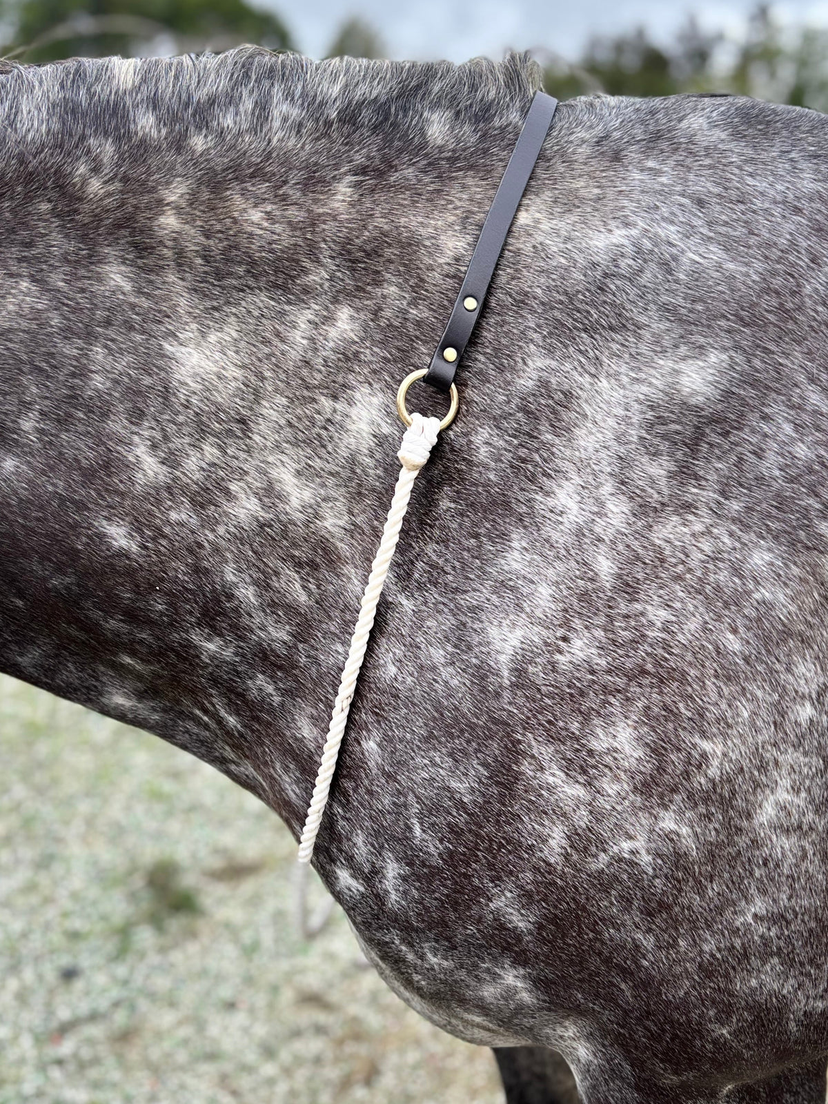 Signature Neckrope