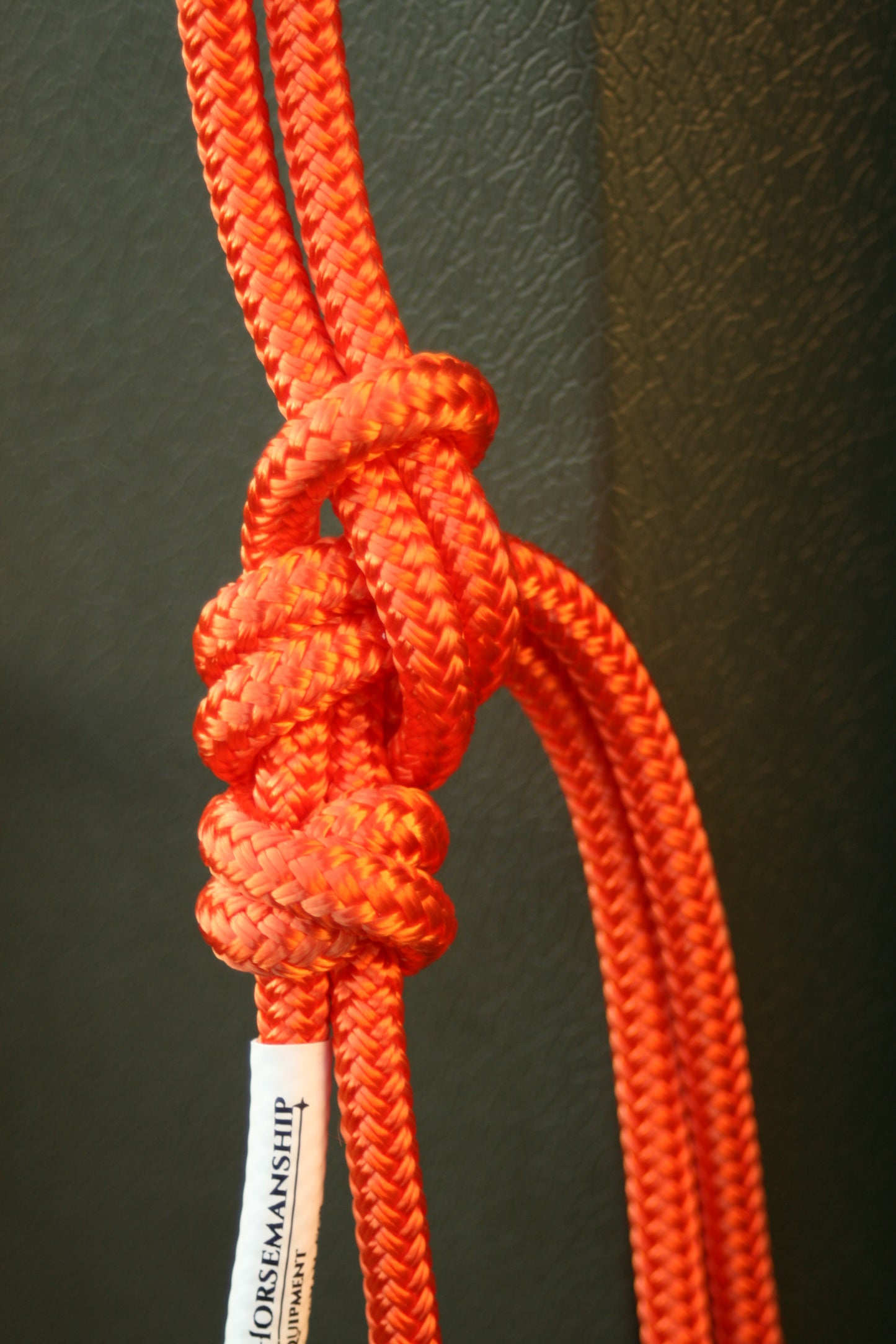 GKH Professional Stiff Rope Halter