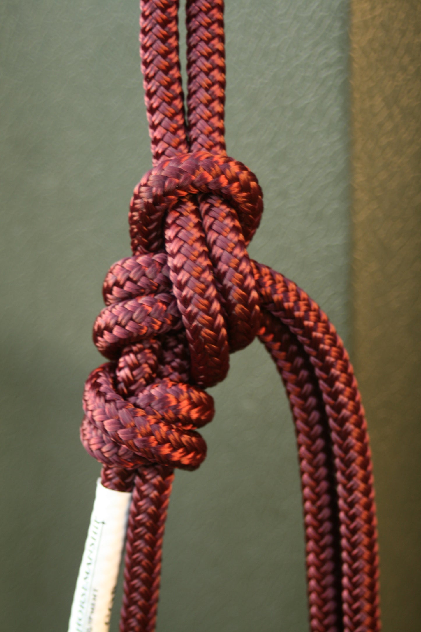 GKH Professional Stiff Rope Halter