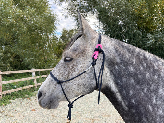 Halter-Quik