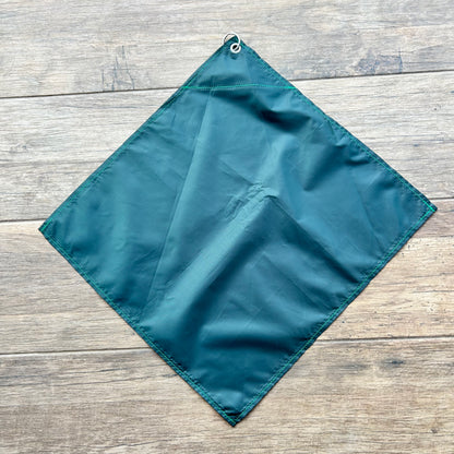 Telescopic Training Flag
