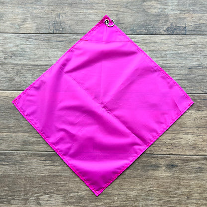 Telescopic Training Flag