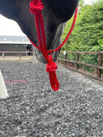 GKH Helix Sliding Ring Halter
