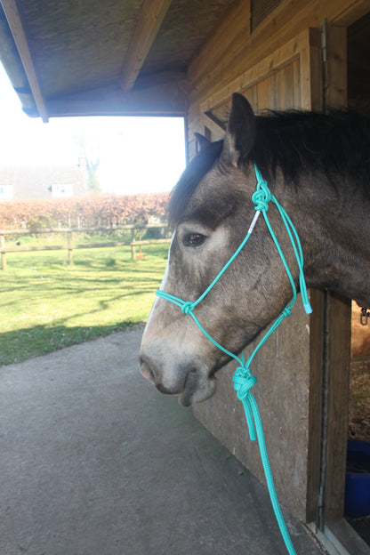 GKH Professional Stiff Rope Halter