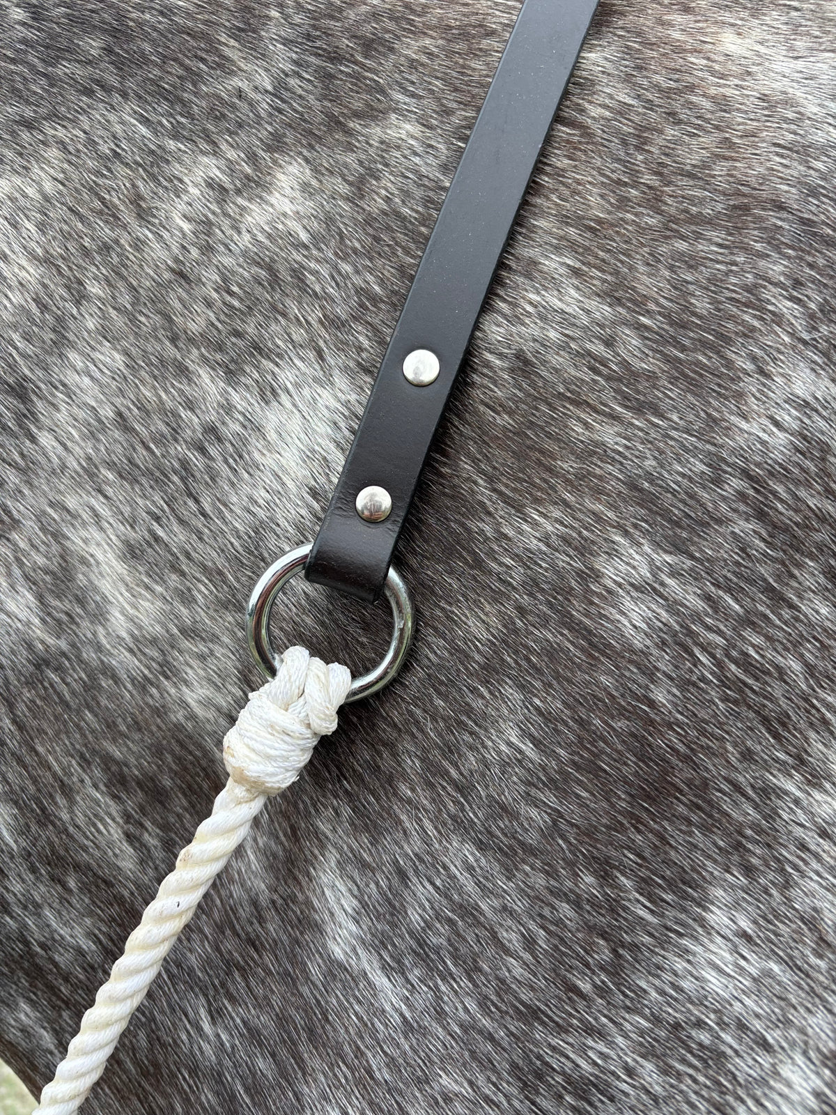Signature Neckrope