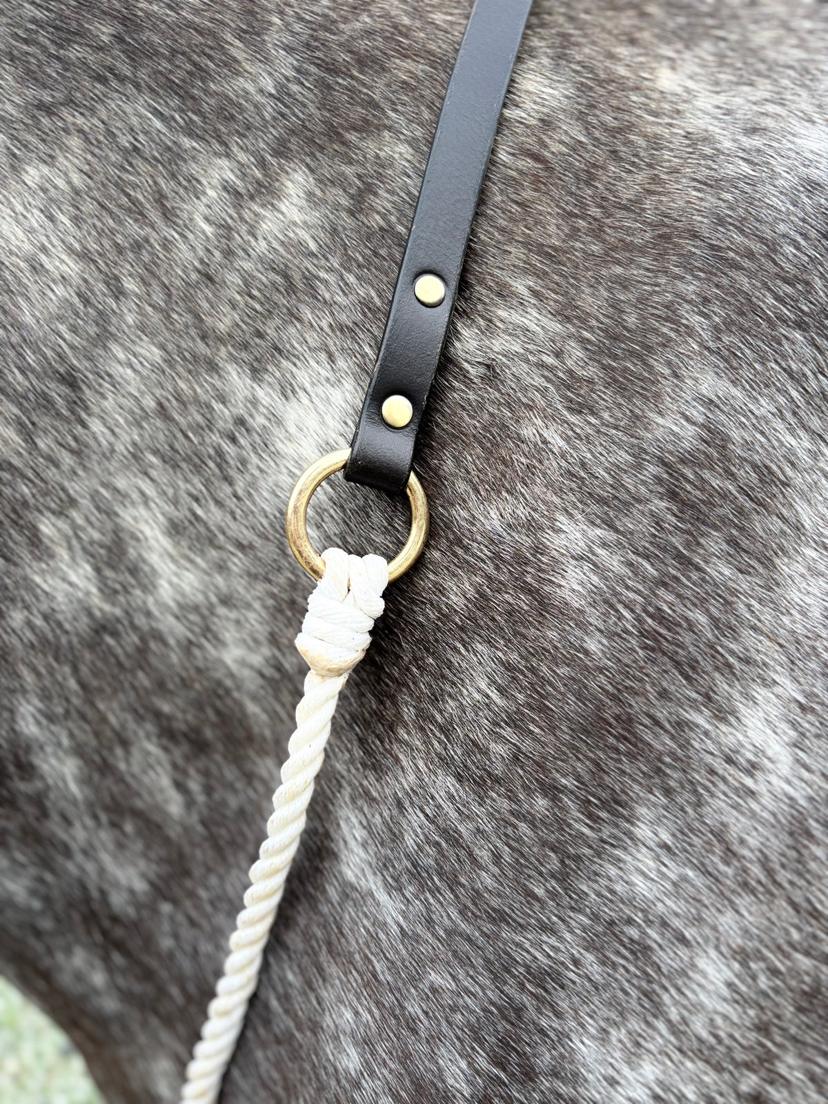 Signature Neckrope