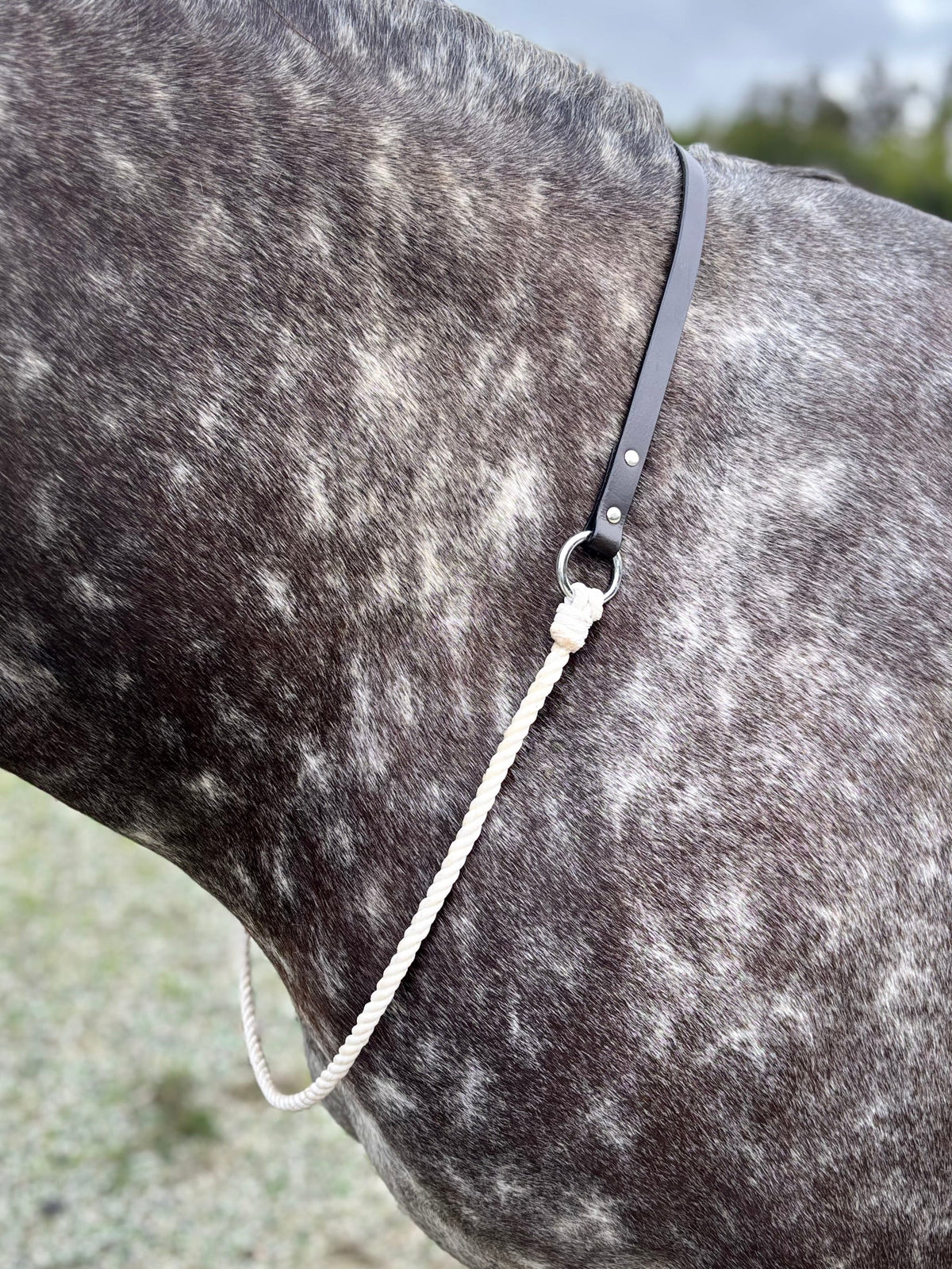 Signature Neckrope