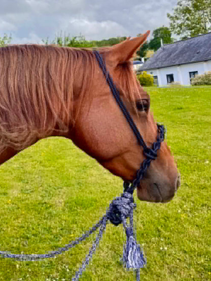NEW Stiff Rope Bosal Hackamore